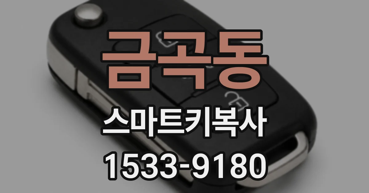 금곡동 스마트키복사