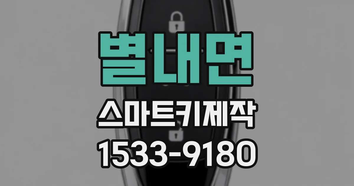 별내면 스마트키제작