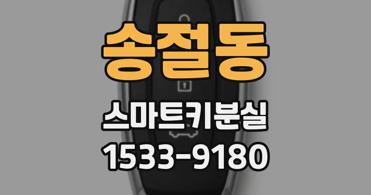 송절동 스마트키분실