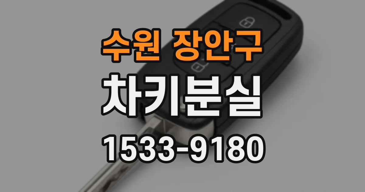 수원 장안구 차키분실
