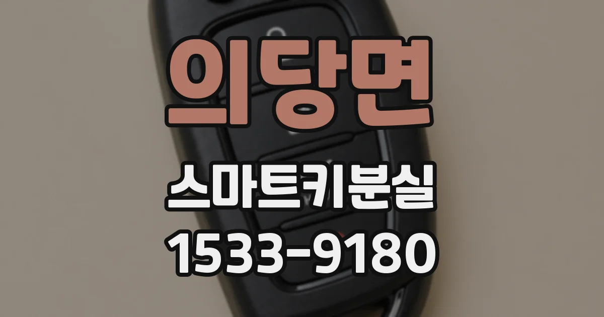 의당면 스마트키분실