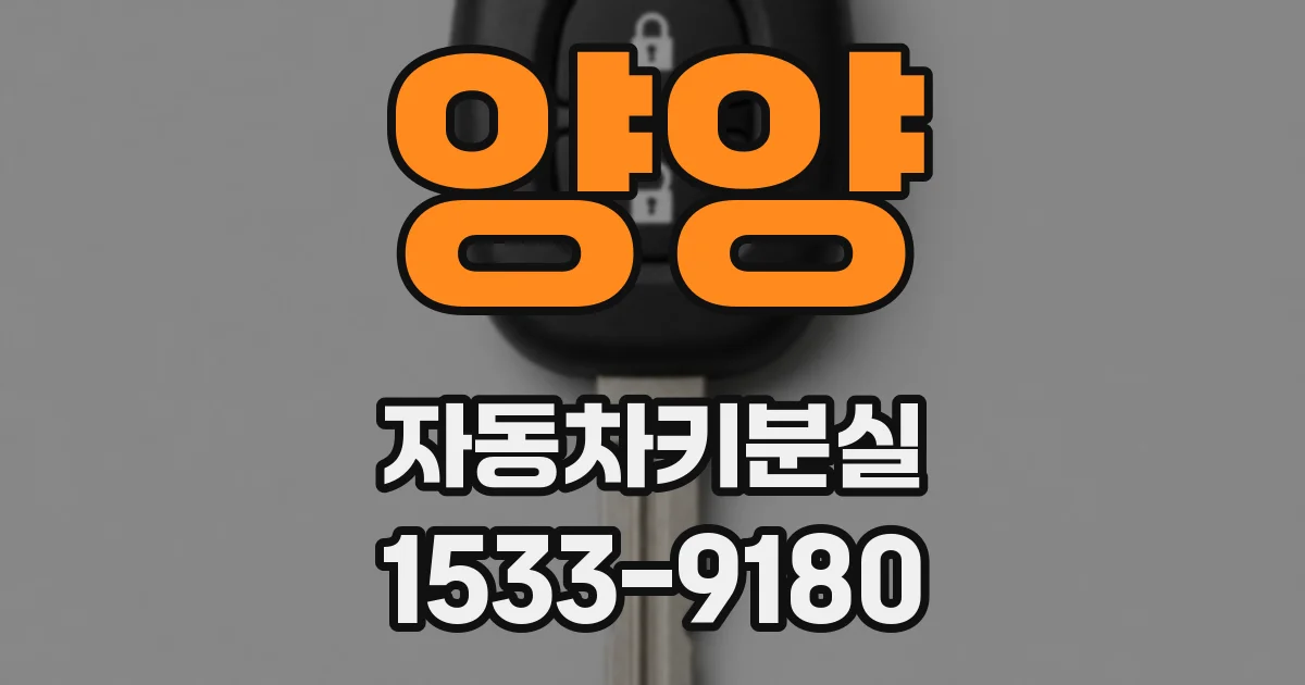 양양 자동차키분실