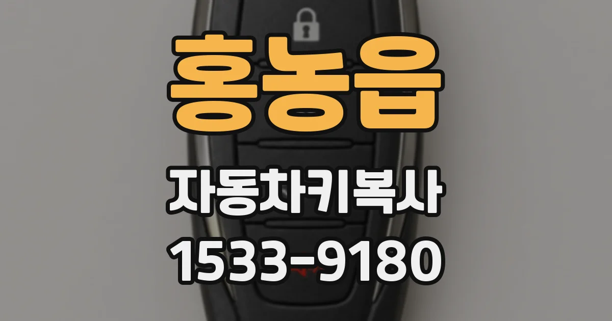 홍농읍 자동차키복사