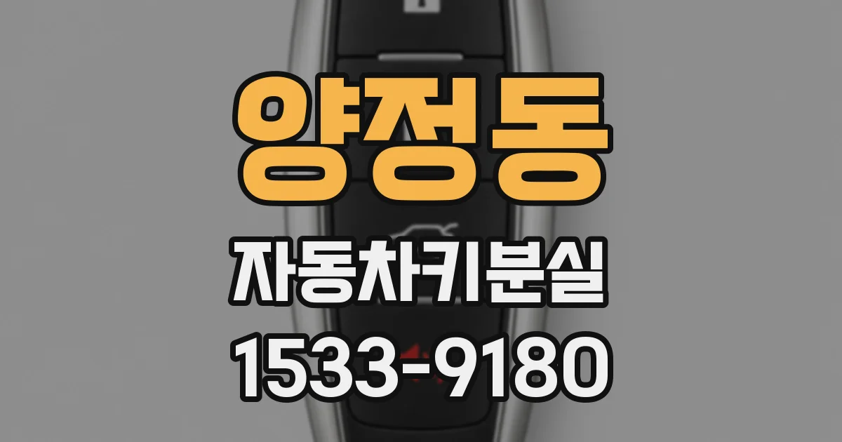 양정동 자동차키분실
