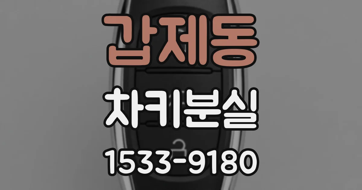 갑제동 차키분실