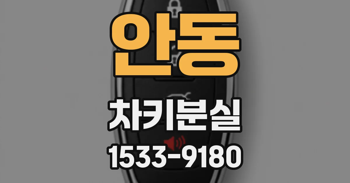 안동 차키분실