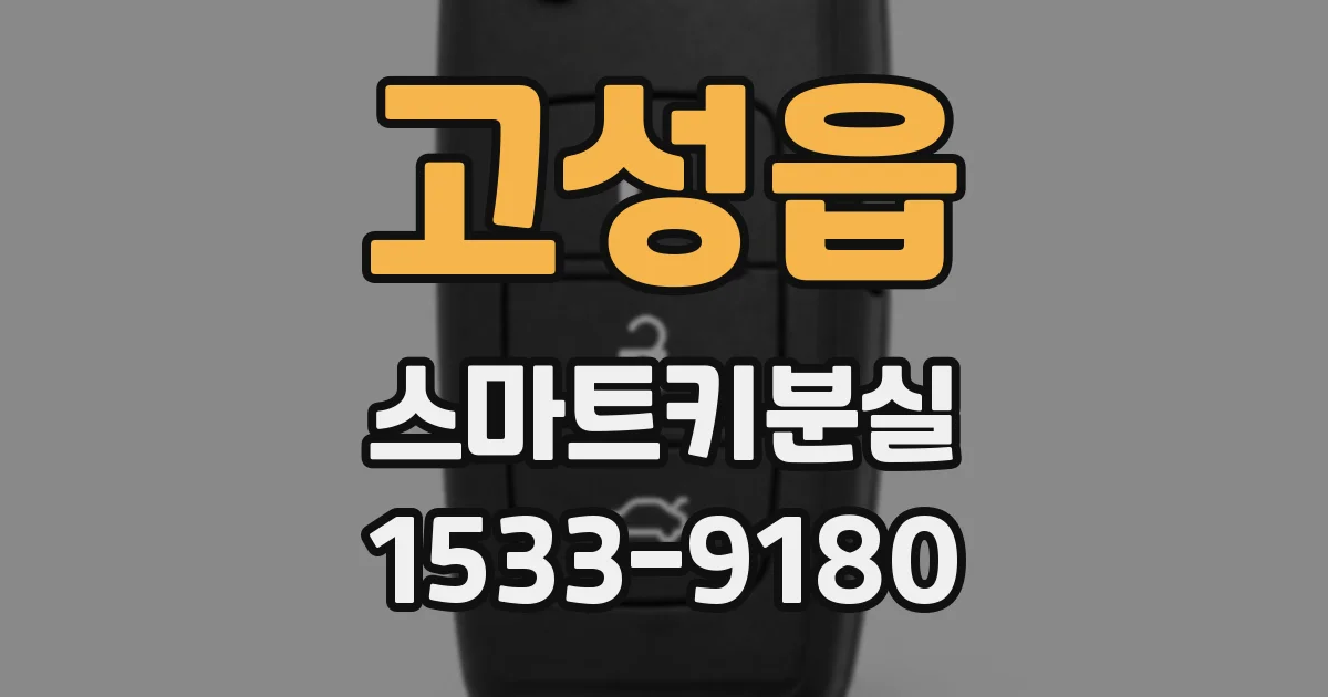 고성읍 스마트키분실
