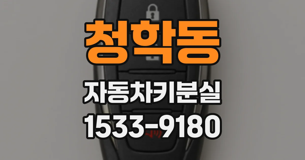 청학동 자동차키분실