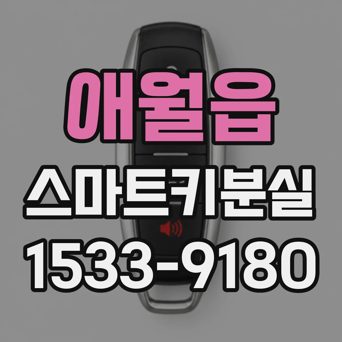 애월읍 스마트키분실