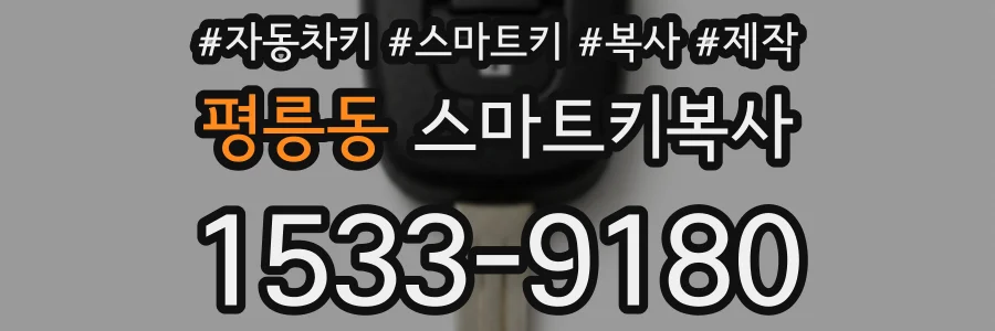 평릉동 스마트키복사