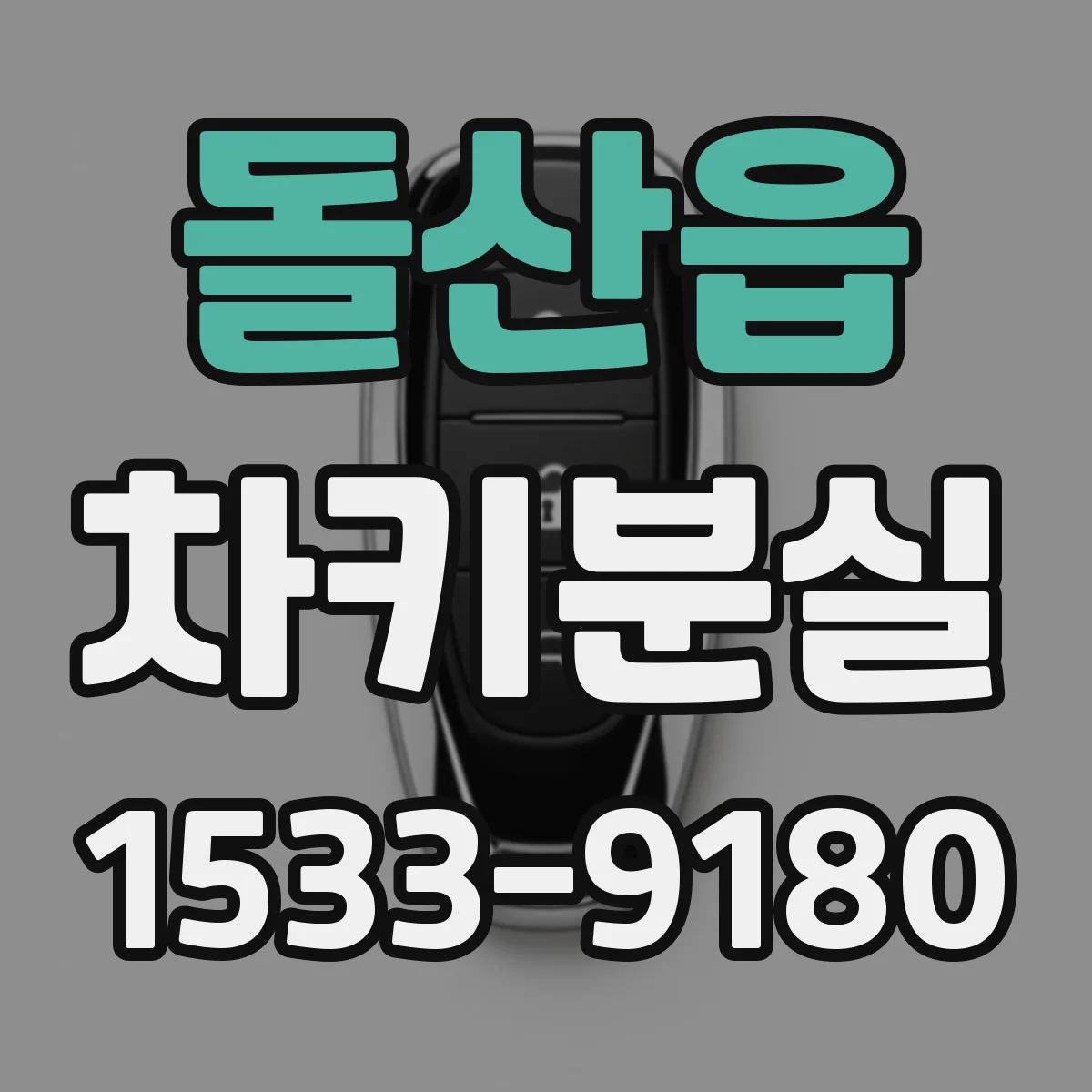 돌산읍 차키분실