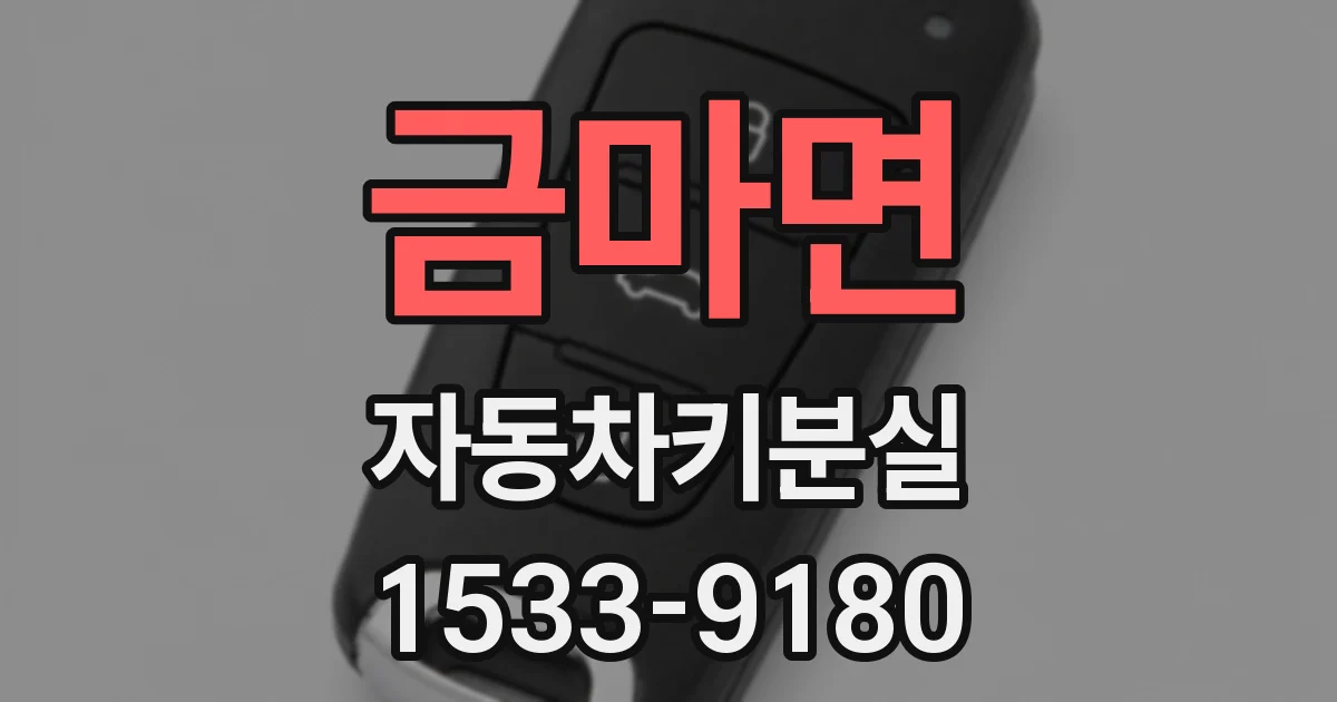 금마면 자동차키분실