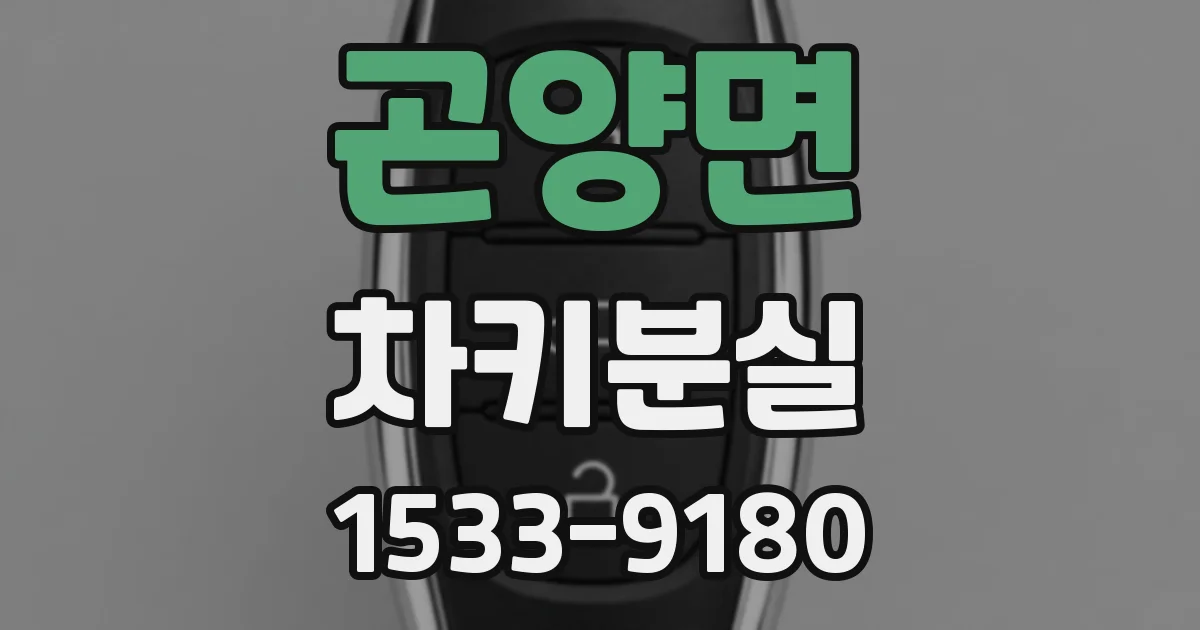 곤양면 차키분실