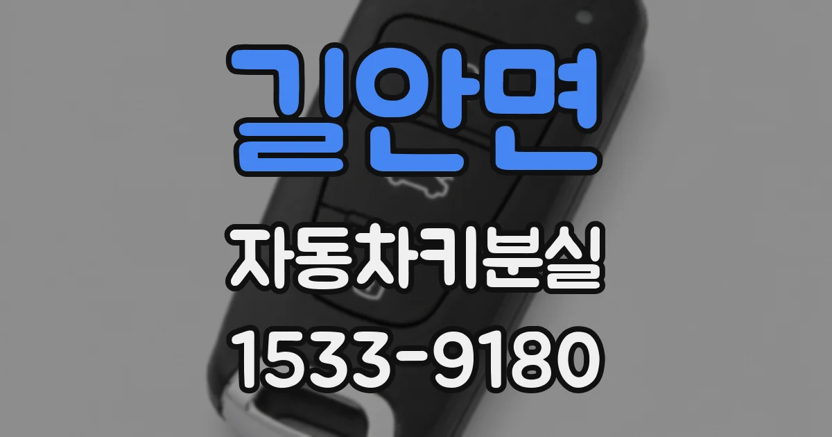 길안면 자동차키분실