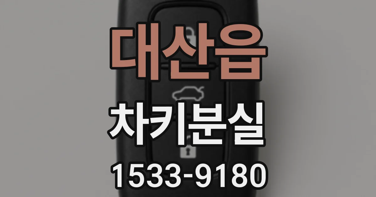대산읍 차키분실