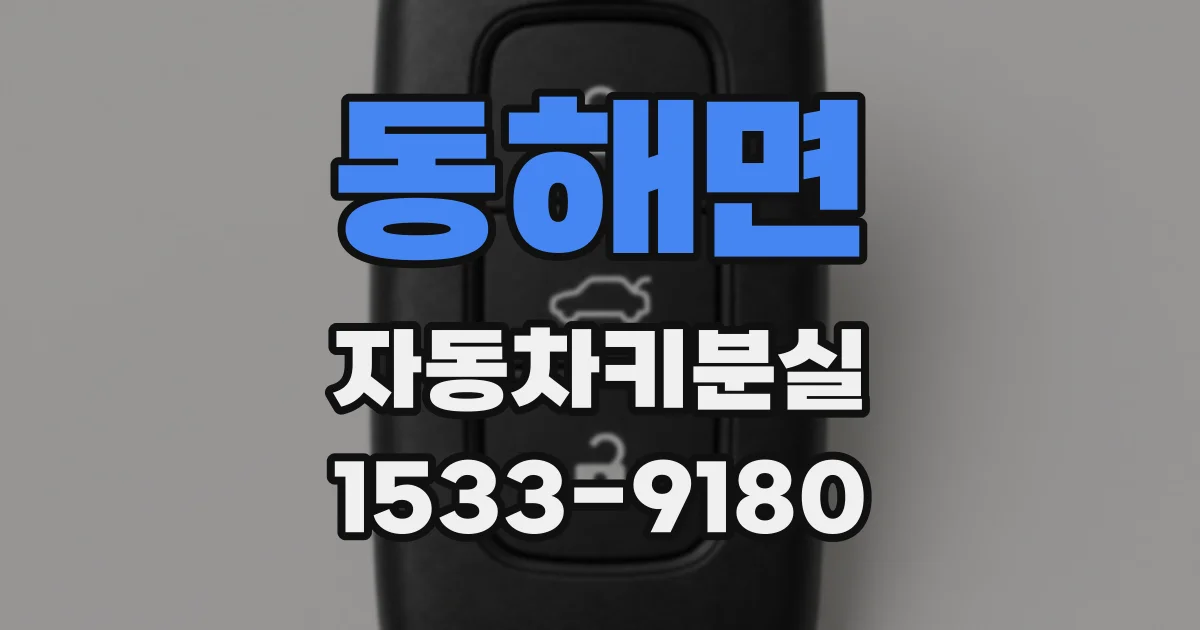 동해면 자동차키분실