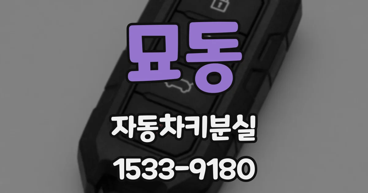 묘동 자동차키분실