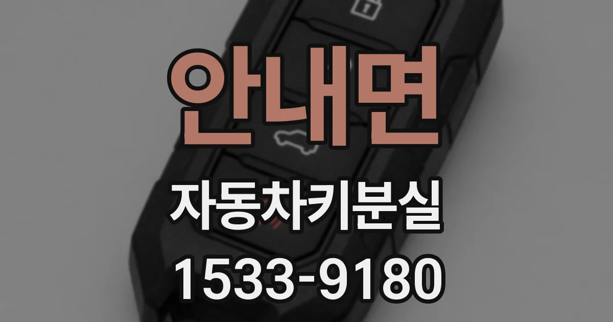 안내면 자동차키분실