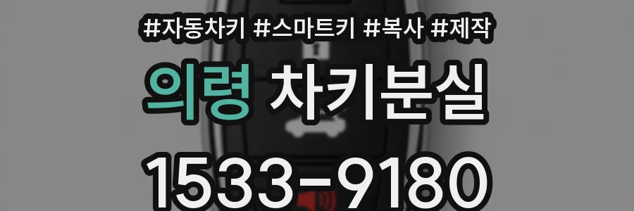 의령 차키분실