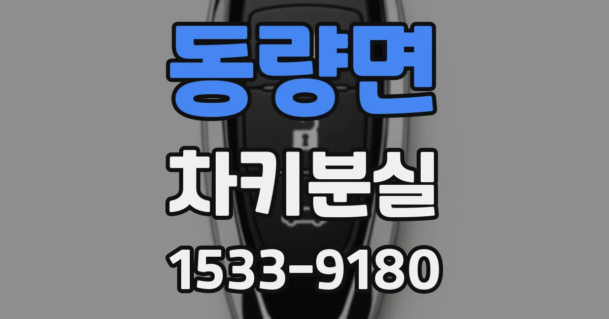 동량면 차키분실
