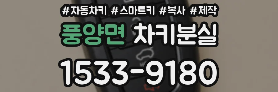 풍양면 차키분실