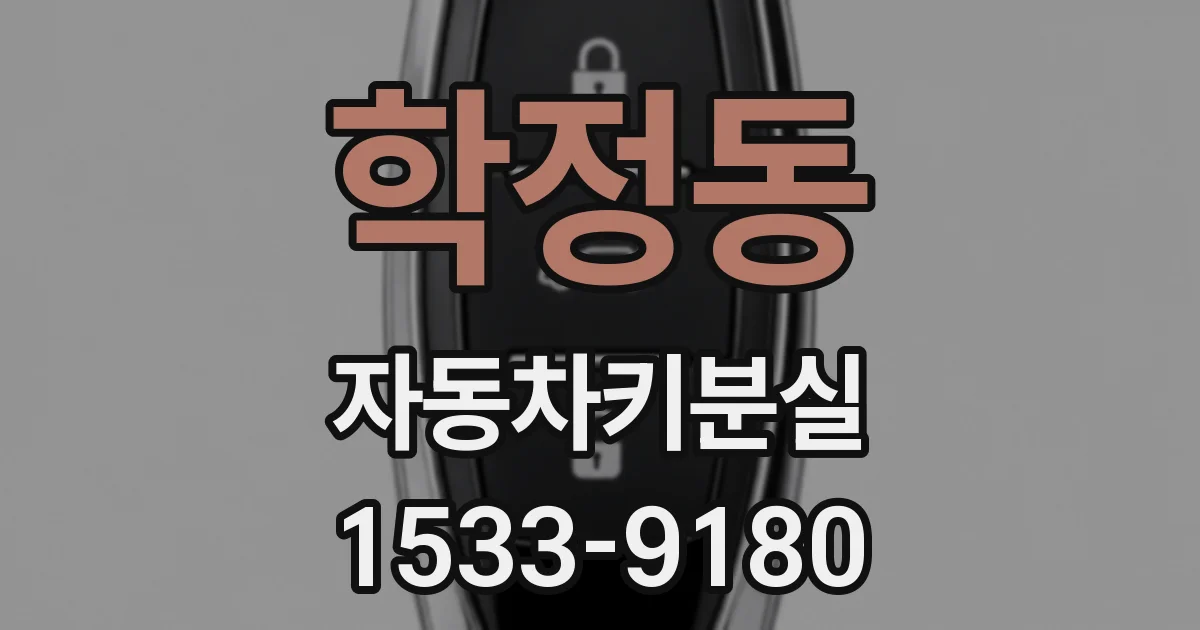 학정동 자동차키분실