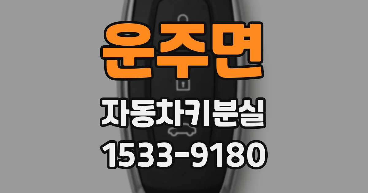 운주면 자동차키분실