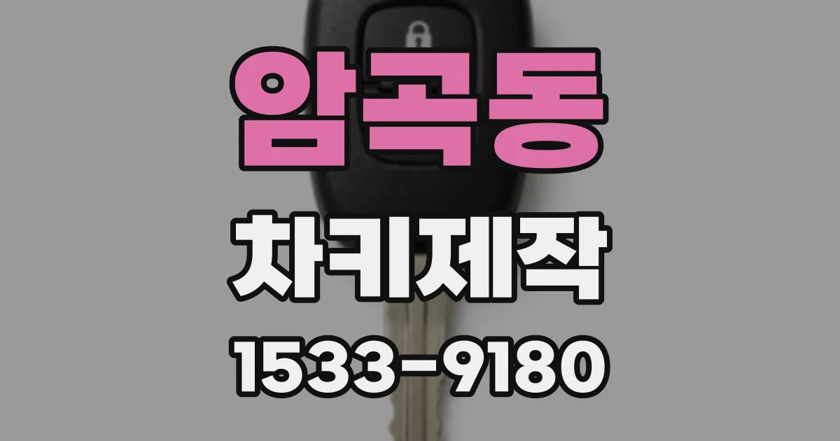 암곡동 차키제작
