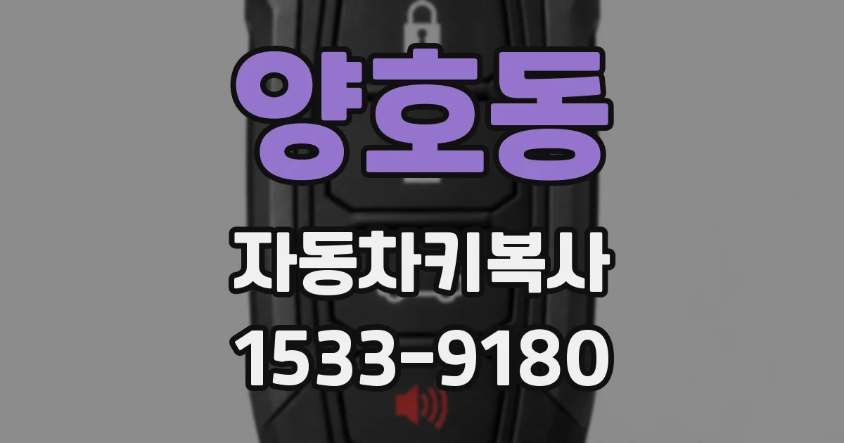 양호동 자동차키복사