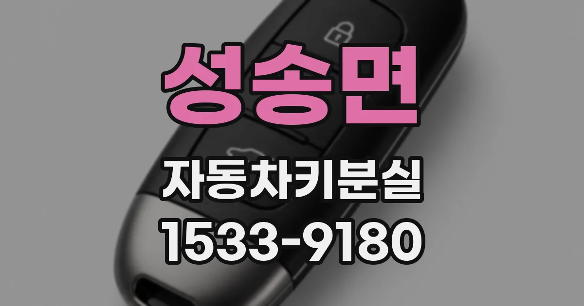 성송면 자동차키분실