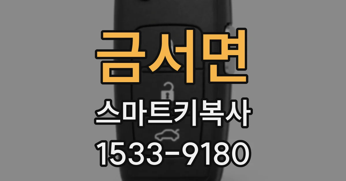 금서면 스마트키복사