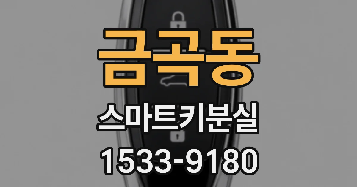 금곡동 스마트키분실