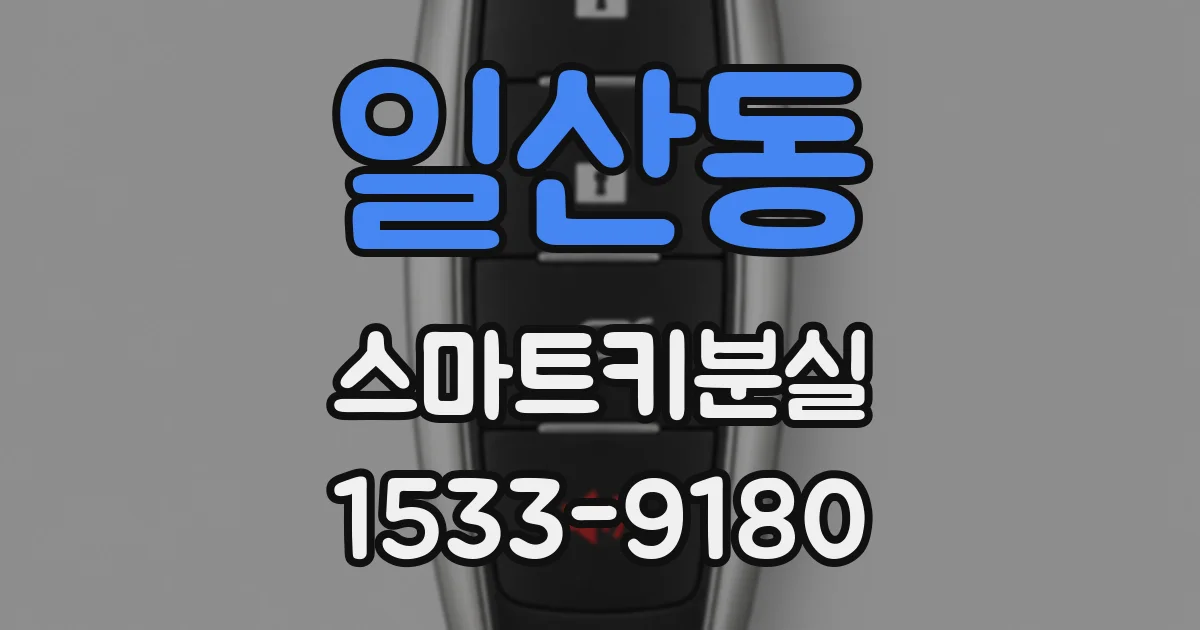 일산동 스마트키분실