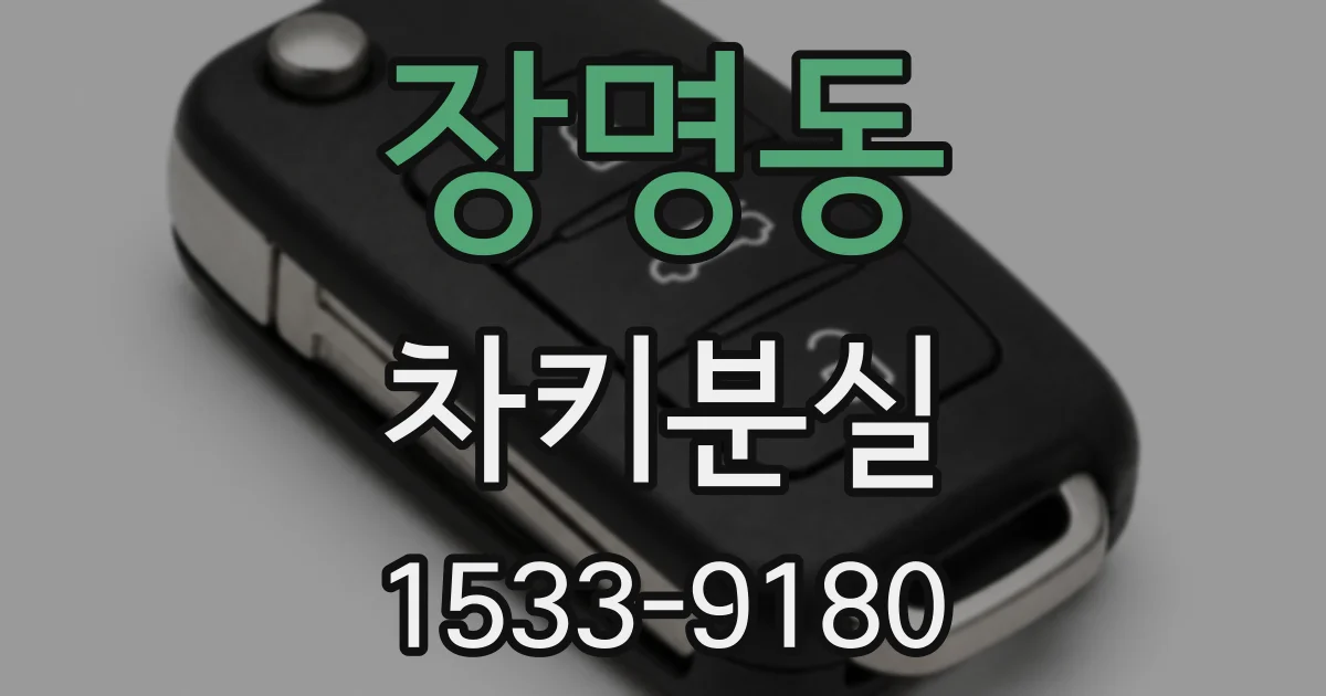 장명동 차키분실