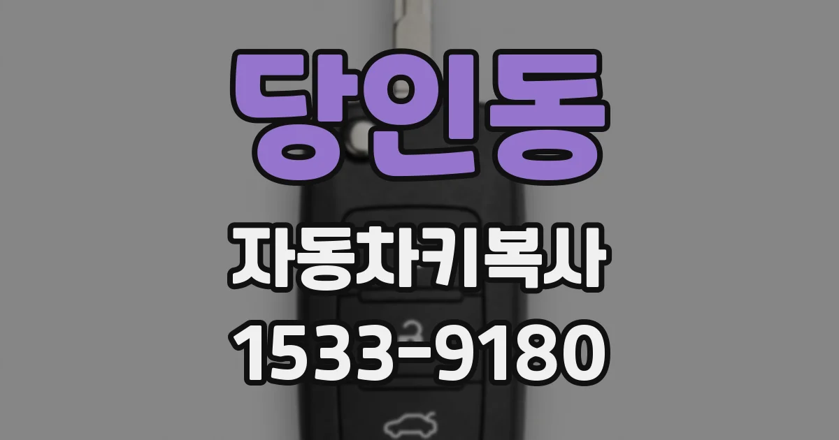 당인동 자동차키복사