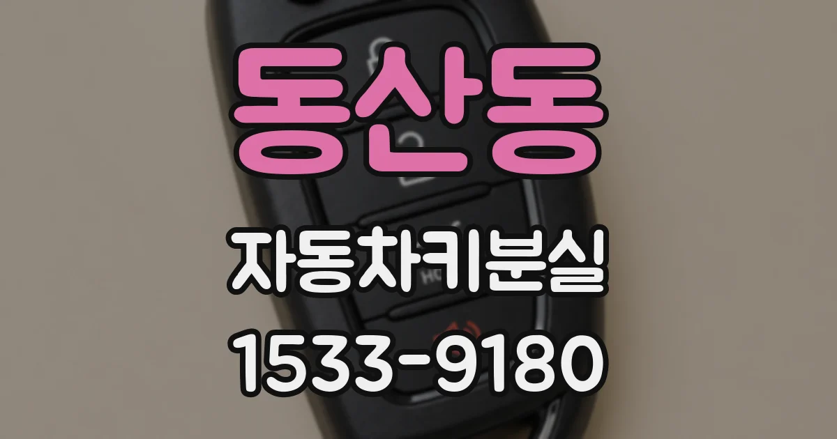 동산동 자동차키분실
