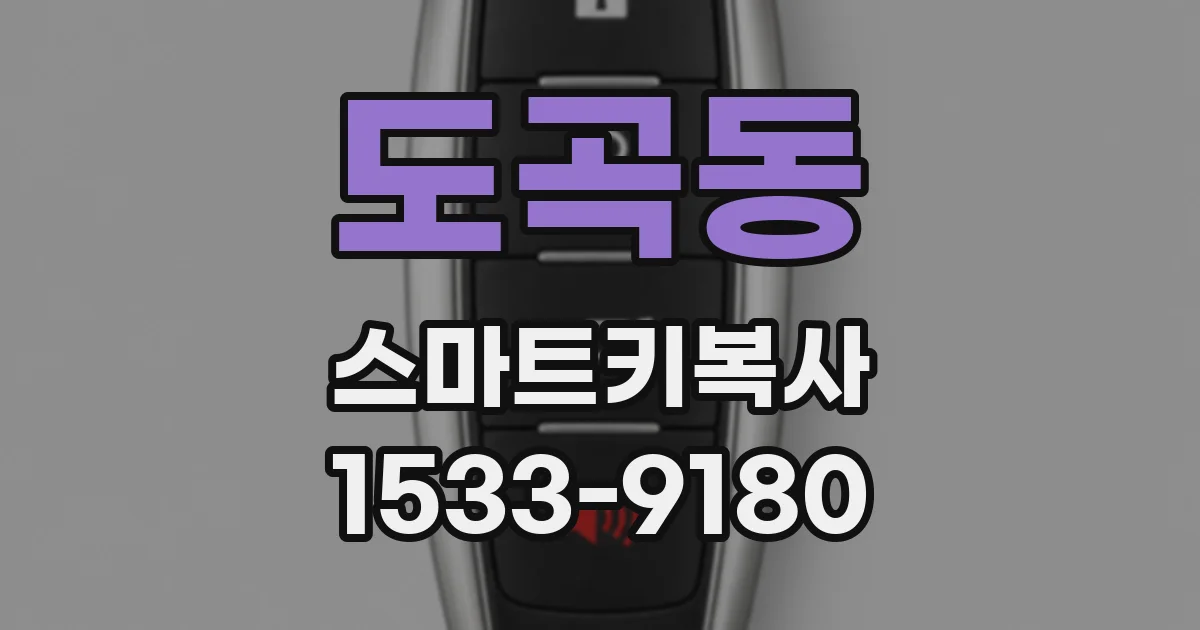 도곡동 스마트키복사