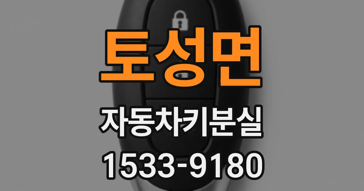 토성면 자동차키분실