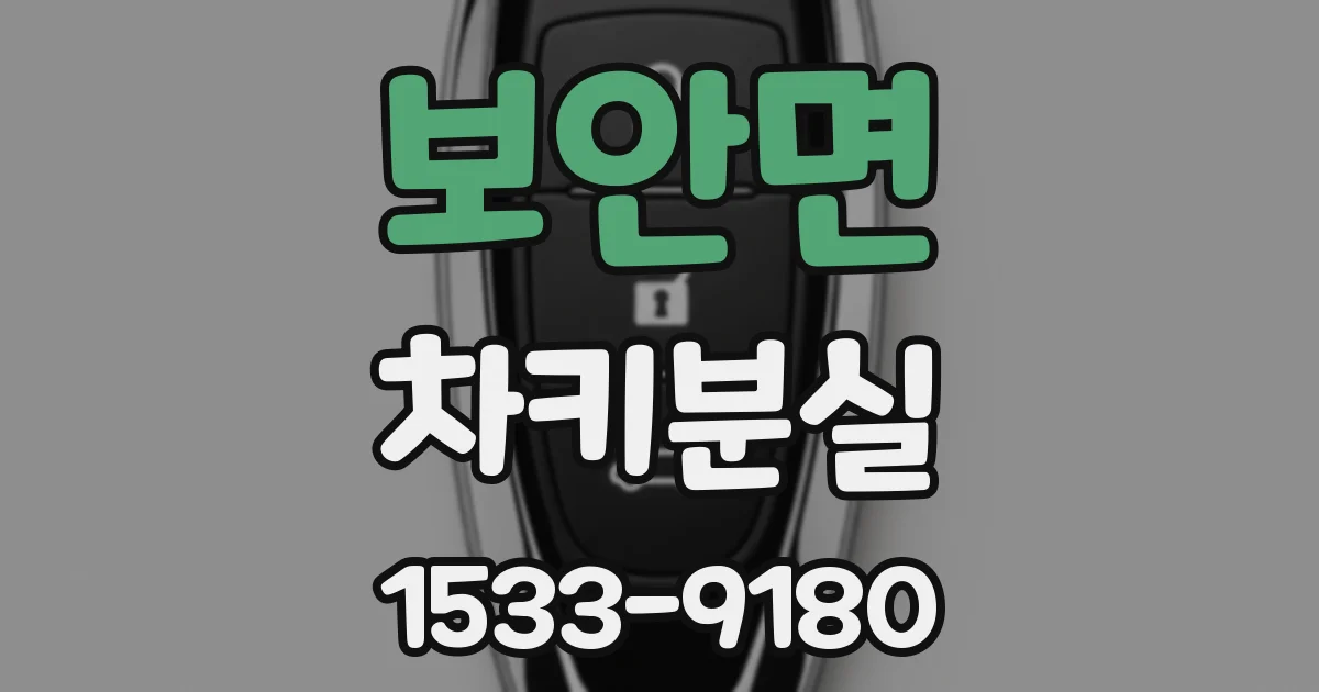 보안면 차키분실