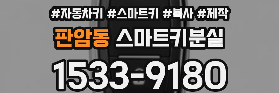 판암동 스마트키분실