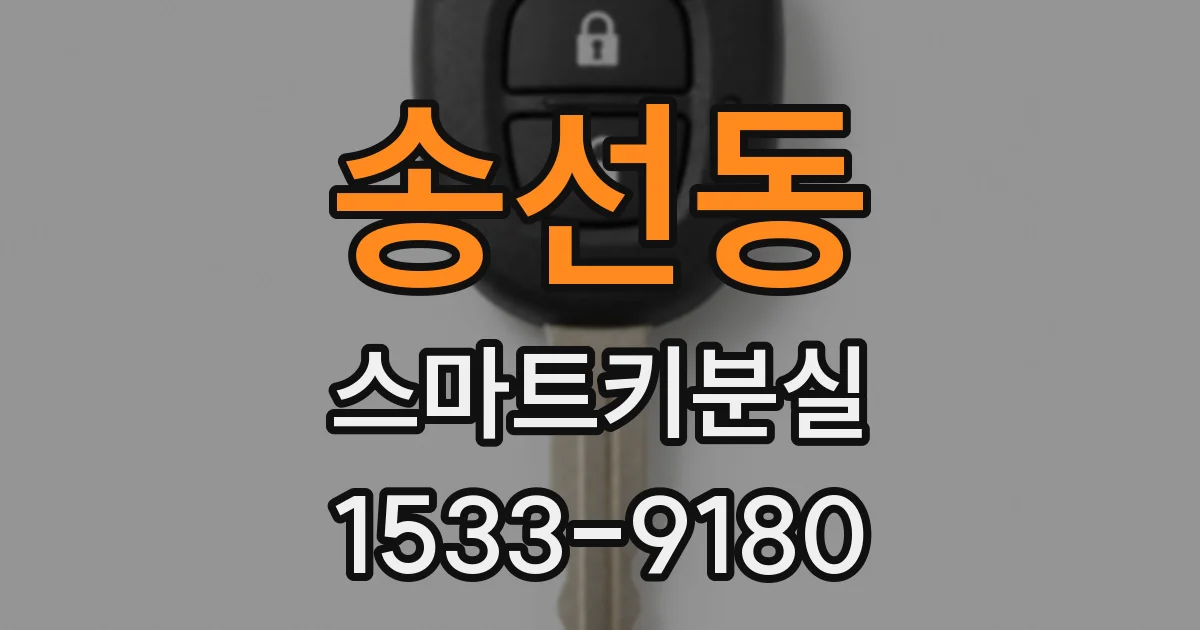 송선동 스마트키분실