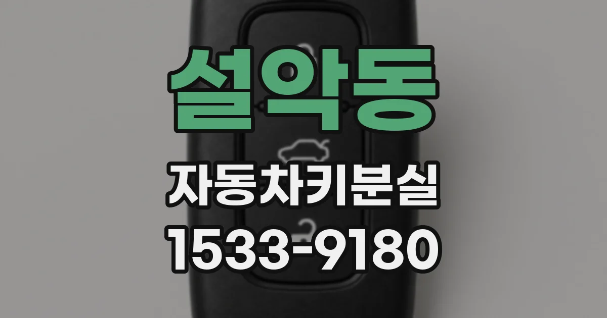 설악동 자동차키분실