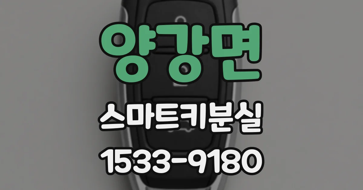 양강면 스마트키분실