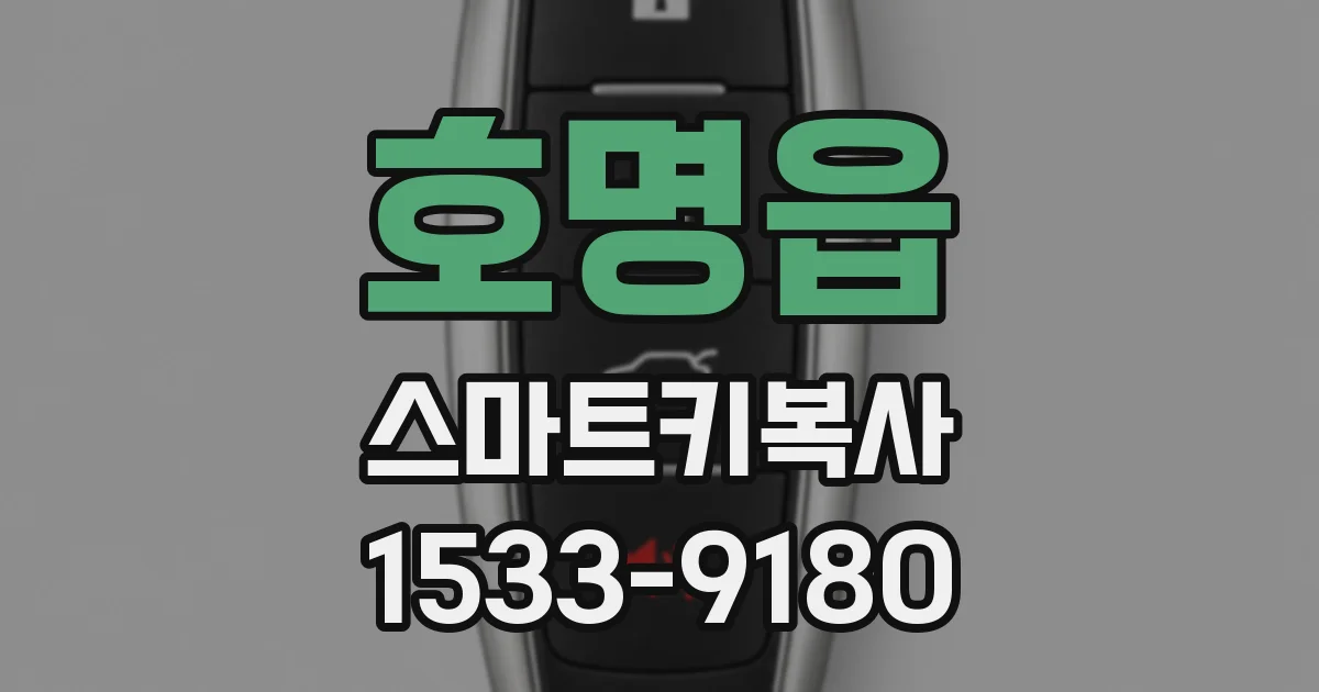 호명읍 스마트키복사