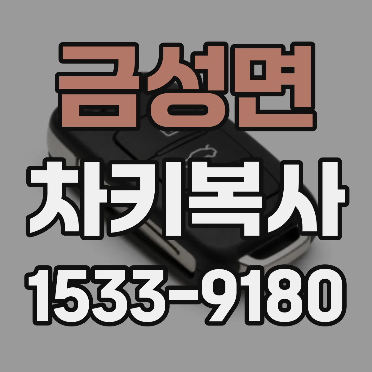 금성면 차키복사