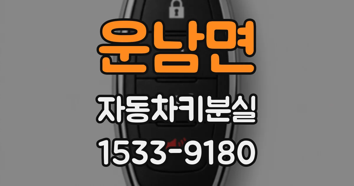 운남면 자동차키분실