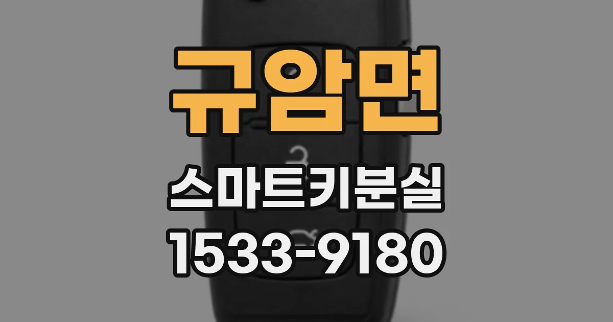 규암면 스마트키분실