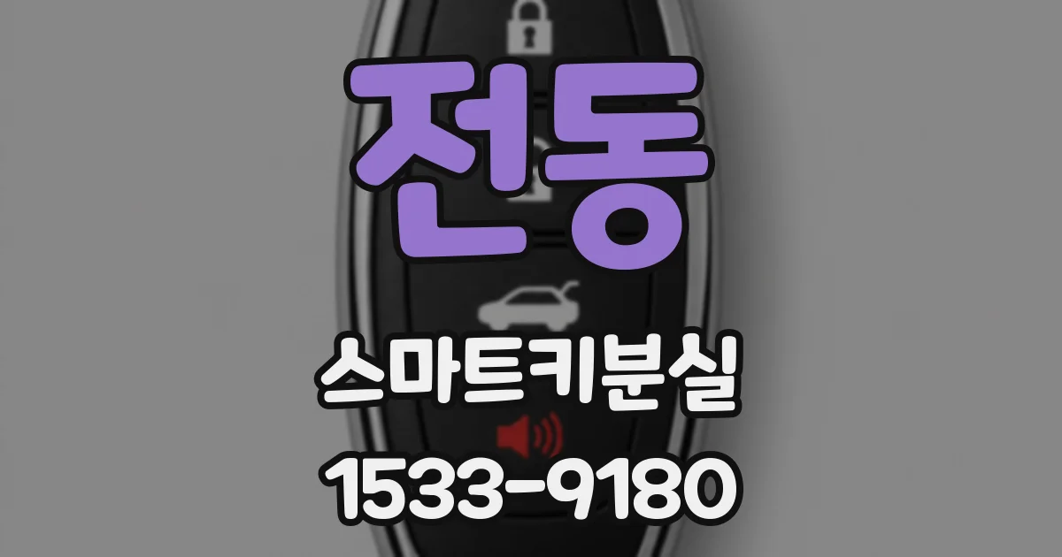 전동 스마트키분실