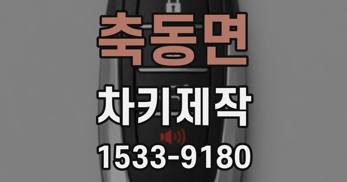 축동면 차키제작