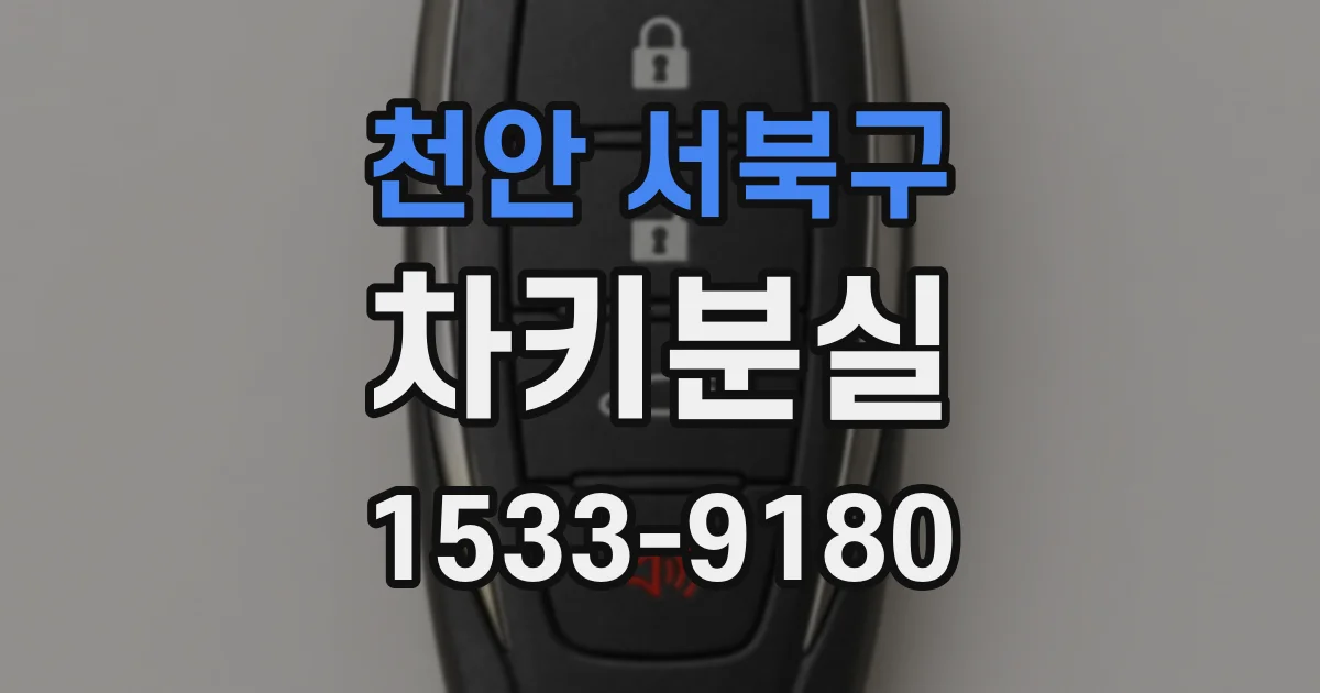 천안 서북구 차키분실